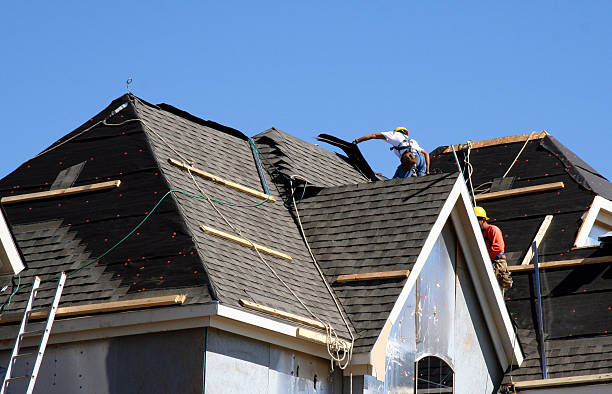 Best Metal Roofing Contractor  in Johnson Creek, WI
